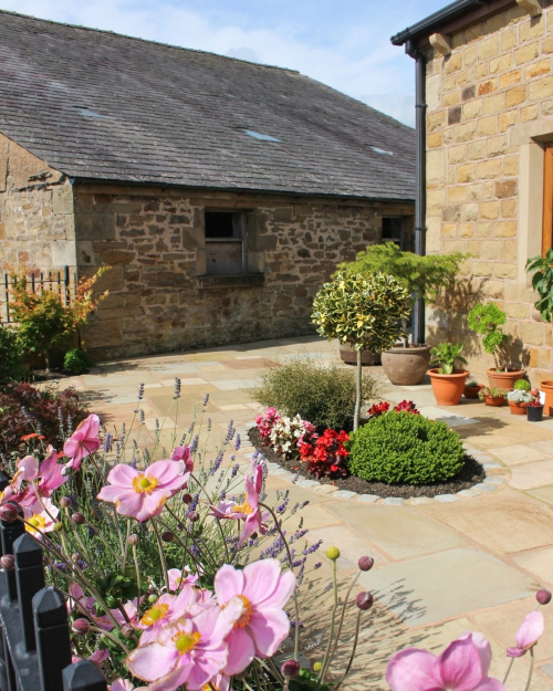 Fossil Mint 4 Size Mixed Patio Pack 